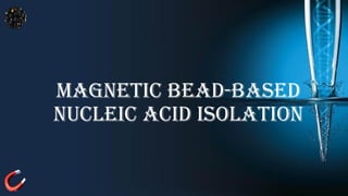 Magnetic Bead-Based Nucleic Acid Isolation.pdf