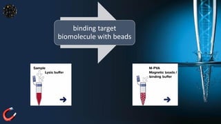 Magnetic Bead-Based Nucleic Acid Isolation.pdf