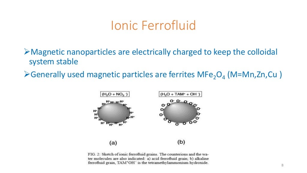 fluid vs magnetic trainer