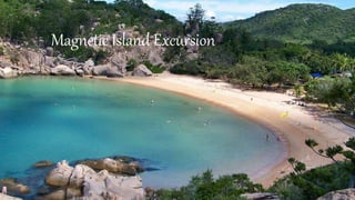 Magnetic Island Excursion
 
