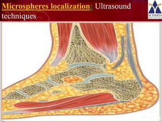 Microspheres localization: Ultrasound
techniques




                                        22
 