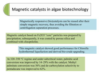Magnetic catalysts in algae biotechnology
Magnetically responsive (bio)catalysts can be reused after their
simple magnetic recovery, thus avoiding the filtration or
centrifugation separation processes.
Magnetic catalyst based on Fe2O3 “core” particles was prepared by
precipitation; subsequently, it was coated by porous silica and
combined with clinoptilolite.
This magnetic catalyst showed good performance for Chlorella
hydrothermal liquefaction and derived bio-crude upgrading.
In 320–350 °C regime and under subcritical water, palmitic acid
conversion was improved by 14–29% with the catalyst. Methyl
palmitate conversion was 56% and de-carboxylation selectivity to
pentadecane was improved to 62%.
 