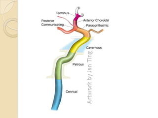 Magnetic resonance angiography