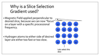 Why is a Slice Selection
Gradient used?
• Magnetic Field applied perpendicular to
desired slice, because we can now “focus”
on a layer with a specific processional
frequency.
• Hydrogen atoms to either side of desired
layer are either too fast or too slow.
H
H
H
H
Bapplied
H
H
H
H
H
H
H
H
H
H
H
H
Lets select this
slice
 