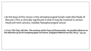 • At the base of this recess is the retropharyngeal lymph node (the Node of
Rouvier.)This is clinically significant in that it may be involved in certain
head and neck cancers, notably Nasopharyngeal cancer.
L E Loh,TSG Chee, AB John.The anatomy of the Fossa of Rossenmuller- Its possible influence on
the detection of occult nasopharyngeal carcinoma: Singapore Medical Journal;Vol 32 : 154-55
 