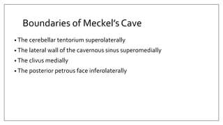 Boundaries of Meckel’s Cave
• The cerebellar tentorium superolaterally
• The lateral wall of the cavernous sinus superomedially
• The clivus medially
• The posterior petrous face inferolaterally
 