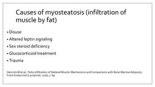 Causes of myosteatosis (infiltration of
muscle by fat)
• Disuse
• Altered leptin signaling
• Sex steroid deficiency
• Glucocorticoid treatment
• Trauma
Hamrick M et al,. Fatty Infiltration of Skeletal Muscle: Mechanisms and Comparisons with Bone Marrow Adiposity.
Front Endocrinol (Lausanne). 2016; 7: 69
 