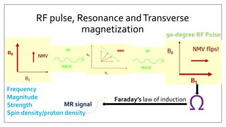 RF pulse, Resonance andTransverse
magnetization
Ω
Faraday’s law of induction
MR signal
90-degree RF Pulse
Frequency
Magnitude
Strength
Spin density/proton density
 