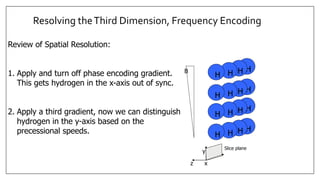Resolving theThird Dimension, Frequency Encoding
H
H
H
H
H
H
H
H
H
H
H
H
H
H
H
H
x
y
z
Slice plane
Review of Spatial Resolution:
1. Apply and turn off phase encoding gradient.
This gets hydrogen in the x-axis out of sync.
2. Apply a third gradient, now we can distinguish
hydrogen in the y-axis based on the
precessional speeds.
B
 
