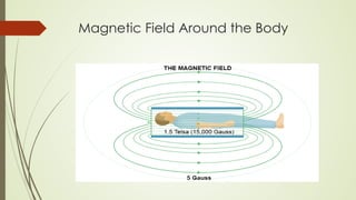Magnetic Field Around the Body
 