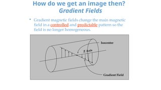 Comprehensive Overview of Magnetic Resonance Imaging Physics and ...