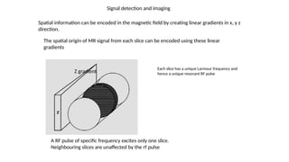 Comprehensive Overview of Magnetic Resonance Imaging Physics and ...