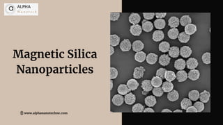 Magnetic Silica
Nanoparticles
www.alphananotechne.com
 