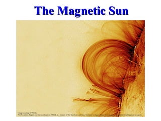 The Magnetic Sun 