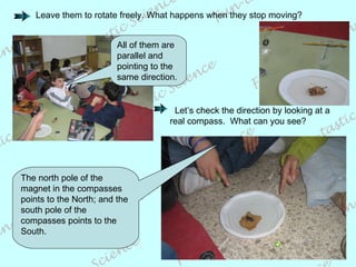 All of them are parallel and pointing to the same direction. The north pole of the magnet in the compasses points to the North; and the south pole of the compasses points to the South. Leave them to rotate freely. What happens when they stop moving? Let’s check the direction by looking at a real compass.  What can you see? 
