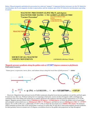 Below: Phased magnetic and dielectric precession in a coherent “magnet”. Component factors necessary are the XY dielectric
inertial plane, the Z-axis magnetic circular reciprocation, and the in-phase spin of the XY-dielectric inertial planes operating
in unison.
Magnetic pressure gradients along the golden ratio at 137.5077 degrees common to phyllotaxis
Field (static) Geometry
“Nature grows, reciprocates, moves, flows, and radiates always along the lowest lines of field pressures” – Author
Discovery: Magnetism does and must (as do all fields) reciprocate along the lowest pressure gradients out and thru and back again.
It cannot be any other way. Without looking for it or expecting to find same, it turns out that all magnetic stable centrifugal and
centripetal vortex lines radiate and reciprocate in a pattern identical to the sunflower and other growth organizations at 137.52788
degrees. Magnetic pressure follows lines of 360(degrees) /85 degrees = 4.23606 degrees, of which the golden circle of centrifugal
and centripetal vortexes both move is; 360(degrees) x Phi^-3 = 85 degrees, and likewise move at 360(degrees) x Phi^-2 = 137.5077
degrees. 85 is to Phi as Phi is to 1, additionally 137.5077 is Phi, at which the movements are at 360/85 (=Phi cubed). The dielectric
radial centripetal accretion disk of the inertial plane is narrower in reality than 36 only due to intervening magnetic pressure gradients.
Its ideal geometry however extends out to 36 degrees, nevertheless however the golden ratio proportions are kept throughout.
 
