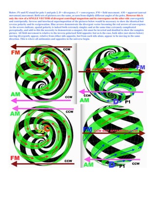 Below: P1 and P2 stand for pole 1 and pole 2. D = divergence, C = convergence. FM = field movement. AM = apparent (unreal
movement) movement. Both sets of pictures are the same, as seen from slightly different angles of the poles. However this is
only the view of a SINGLE VECTOR of divergent centrifugal magnetism and its convergence on the other side convergently
and centripetally. Inverse and interlaced superimposition of the pictures below would be necessary to show the identical but
reverse polarity and its reciprocation. Blue arrows demonstrate the divergent vector becoming the red arrows of convergence.
As the arrows indicate, spatial polarity is indeed both extremely simplex and at the same time extremely complicated
perceptually, and add to this the necessity to demonstrate a magnet, this must be inverted and doubled to show the complete
picture. All field movement is relative to the inverse polarized field opposite; but as is the case, both sides (not shown below)
moving divergently appear, relative from either side opposite, but from each side alone, appear to be moving in the same
direction. This is where all antinomies and opposites in the universe begin.
 