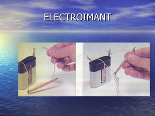ELECTROIMANT 