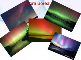 Aurora Boreal 