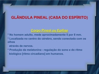 GLÂNDULA PINEAL (CASA DO ESPÍRITO)


                Corpo Pineal ou Epífise
* No homem adulto, mede aproximadamente 5 por 8 mm.
* Localizada no centro do cérebro, sendo conectada com os
olhos
  através de nervos.
* Produção da melatonina - regulação do sono e do ritmo
  biológico [ritmo circadiano] em humanos.
 
