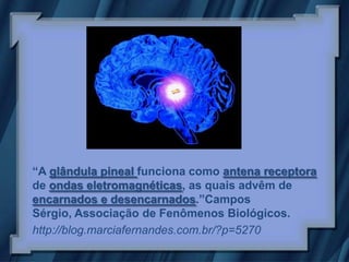 “A glândula pineal funciona como antena receptora
de ondas eletromagnéticas, as quais advêm de
encarnados e desencarnados.”Campos
Sérgio, Associação de Fenômenos Biológicos.
http://blog.marciafernandes.com.br/?p=5270
 