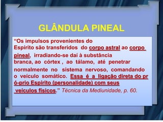 GLÂNDULA PINEAL
“Os impulsos provenientes do
Espírito são transferidos do corpo astral ao corpo
pineal, irradiando-se daí à substância
branca, ao córtex , ao tálamo, até penetrar
normalmente no sistema nervoso, comandando
o veículo somático. Essa é a ligação direta do pr
ó-prio Espírito (personalidade) com seus
 veículos físicos.” Técnica da Mediunidade, p. 60.
 