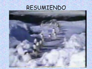 RESUMIENDO
 