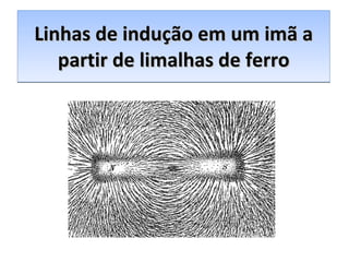 Linhas de indução em um imã a partir de limalhas de ferro 