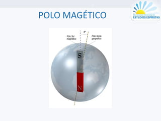 POLO MAGÉTICO
 