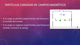 PARTÍCULAS CARGADAS EN CAMPOS MAGNÉTICOS
• Si la carga es positiva experimenta una fuerza en
el sentido del campo
• Si la carga es negativa experimenta una fuerza en
sentido contrario al campo
 