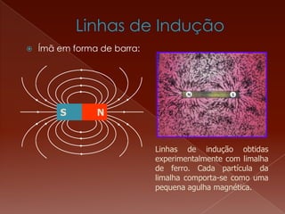  Ímã em forma de barra:
NS
Linhas de indução obtidas
experimentalmente com limalha
de ferro. Cada partícula da
limalha comporta-se como uma
pequena agulha magnética.
 