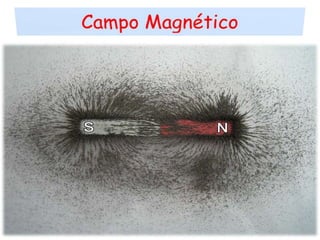 Campo Magnético