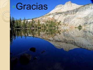 Gracias