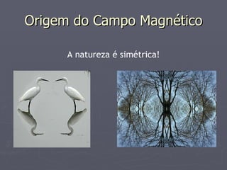Origem do Campo Magnético A natureza é simétrica! 