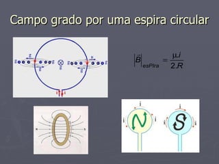 Campo grado por uma espira circular 