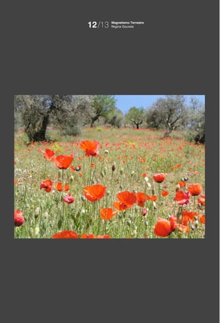 12/13   Magnetismo Terrestre
        Regina Gouveia
 