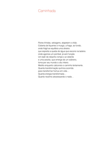 Caminhada




Flores tímidas, selvagens, atapetam o chão.
Coberta de líquenes e musgo, a fraga, ao fundo,
onde frágil se equilibra uma oliveira
que espreita a queda de água que escorre na ladeira
onde agoniza um pombal, já sem função.
Um balir de rebanho rompe o ar dolente
e uma avezita, que emerge de um sobreiro,
toma por seu mundo o céu inteiro.
Medito enquanto calcorreio o caminho lentamente.
Quanta transformação química ocorrida
para transformar húmus em vida…
Quanta energia transformada…
Quanto neutrino atravessando o nada…
 