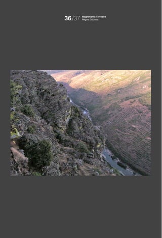 36/37   Magnetismo Terrestre
        Regina Gouveia
 