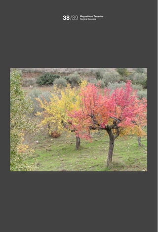 38/39   Magnetismo Terrestre
        Regina Gouveia
 