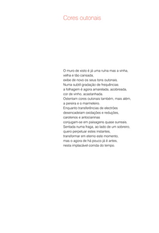 Cores outonais




O muro de xisto é já uma ruína mas a vinha,
velha e tão cansada,
exibe de novo os seus tons outonais.
Numa subtil gradação de frequências
a folhagem é agora amarelada, acobreada,
cor de vinho, acastanhada.
Ostentam cores outonais também, mais além,
a pereira e o marmeleiro.
Enquanto transferências de electrões
desencadeiam oxidações e reduções,
carotenos e antocianinas
conjugam-se em paisagens quase surreais.
Sentada numa fraga, ao lado de um sobreiro,
quero perpetuar estes instantes,
transformar em eterno este momento,
mas o agora de há pouco já é antes,
nesta implacável corrida do tempo.
 