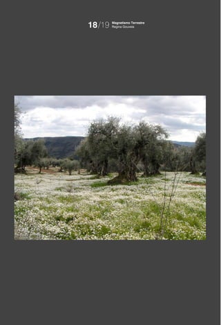 18/19   Magnetismo Terrestre
        Regina Gouveia
 