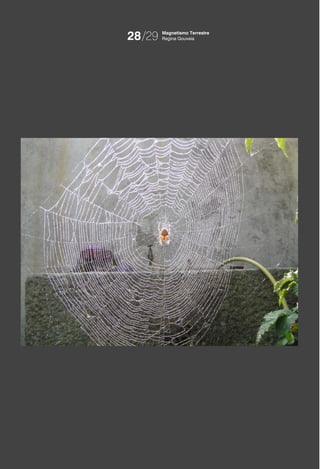 28/29   Magnetismo Terrestre
        Regina Gouveia
 