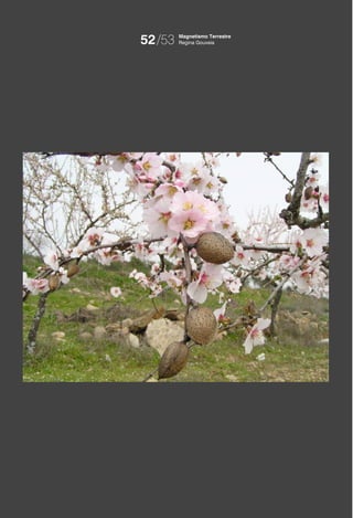 52/53   Magnetismo Terrestre
        Regina Gouveia
 