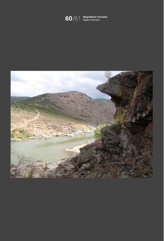 60/61   Magnetismo Terrestre
        Regina Gouveia
 