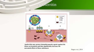 Apoferritin
Apoferritin may protect chemotherapeutic agents against the
tissue environment and thus significantly decrease the
unwanted effects of these substances
Heger et al., 2014
 