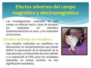 Efectos adversos del campo
      magnético y electromagnético
 Las investigaciones realizadas en este
 campo se enfocan hacia 2 tipos de ensayos:
 los     realizados      en       animales,
 fundamentalmente en aves, y los realizados
 en humanos.
Estudios realizados en mamíferos.
 Los estudios realizados en mamíferos no
 demuestran un comportamiento que pueda
 definir la aseveración de la afectación de la
 reproducción y el desarrollo de estos debido
 a su exposición al CME, pues los resultados
 obtenidos en ambos sentidos no dan
 significación estadística.
 