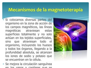 Mecanismos de la magnetoterapia
Si colocamos diversas partes del
organismo en la zona de acción de
los campos magnéticos, las líneas
magnéticas      atraviesan    estas
superficies totalmente y no solo
actúan en los tejidos superficiales,
sino que atraviesan todo el
organismo, incluyendo los huesos
y todos los órganos, llegando a la
profundidad absoluta, se alcanzan
los iones de sodio y potasio que
se encuentran en la célula.
Se mejora la circulación sanguínea
 