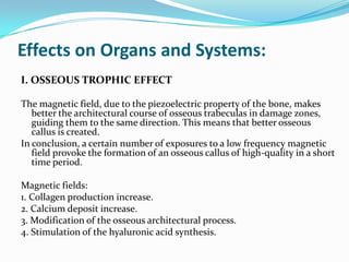 Effects on Organs and Systems:
I. OSSEOUS TROPHIC EFFECT
The magnetic field, due to the piezoelectric property of the bone, makes
better the architectural course of osseous trabeculas in damage zones,
guiding them to the same direction. This means that better osseous
callus is created.
In conclusion, a certain number of exposures to a low frequency magnetic
field provoke the formation of an osseous callus of high-quality in a short
time period.
Magnetic fields:
1. Collagen production increase.
2. Calcium deposit increase.
3. Modification of the osseous architectural process.
4. Stimulation of the hyaluronic acid synthesis.
 