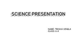 SCIENCE PRESENTATION
NAME: TRISHA SINGLA
CLASS: 6-A
 