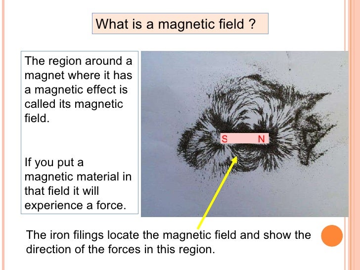 What is in magnets Clearance